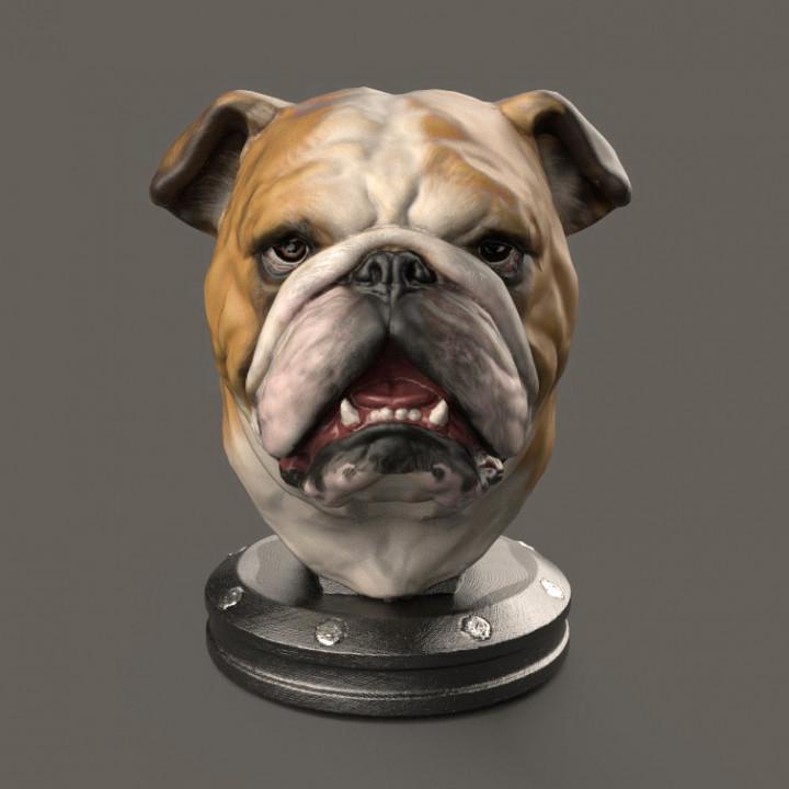 Inglese bulldog giocattoli Giochi freddo carina decorativo scrivania cane divertimento divertente realistico statua Toro compagno desktop amico cucciolo cani peloso leale cagnolino 3D print model - Mito3D