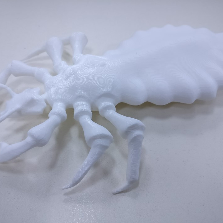 e3d+vet Übung Kopf Läuse 3D print model - Mito3D