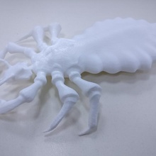e3d+vet exercise head lice 3d print model - Mito3D