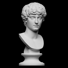 portrait man scan bust head sculpture male young artec openglam artec-eva smk-open 3d print model - Mito3D
