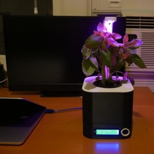 table hydroponics 3d print model - Mito3D