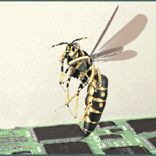 wasp créé partsolutions 3d print model - Mito3D