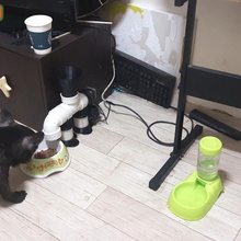 automático alimentador cachorros PVC tubo jardim gato cão cachorro 3d print model - Mito3D