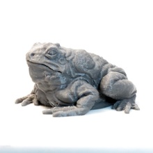 giant toad - dnd monster 2 poses tabletop creature miniture miniature enemy frog encounter 3d print model - Mito3D