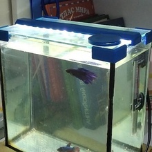 acquario lampada 3d print model - Mito3D