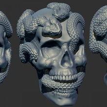 crânio cobras serpentes caveira 3d print model - Mito3D