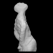scottfhallsculpture001 taramak okuma Sanat bulut heykel profesör orijinal tarandı eskiz ince mecazi kil örtülü gerçekçilik izlenimcilik gerçekçi varoluşçuluk ciltli bfa amorf mfa Pareidolia 3d print model - Mito3D