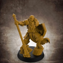male paladin - human half-orc 32mm scale miniature miniatures dungeonsanddragons d&d dnd pathfinder halforc 3d print model - Mito3D