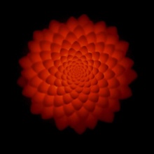 poly lotus novatrope kickstarter blender fibonacci zoetrope 3d golden spiral novatropes 3d print model - Mito3D