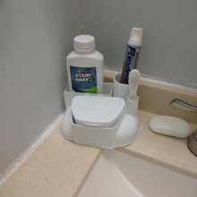 salle bains dentier organisateur jardin brosse savon dentifrice évier latrine fixodent polygrip efferdent 3d print model - Mito3D
