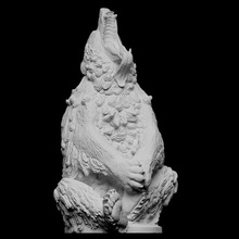 sentado oso escanear animal openglam artec eva smk open 3d print model - Mito3D