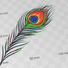 peacock feather xyzprinting colorwithxyz 3d print model - Mito3D