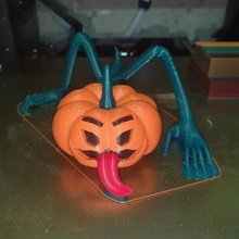 pumpkin creeper & garden colorwithxyz 3d print model - Mito3D