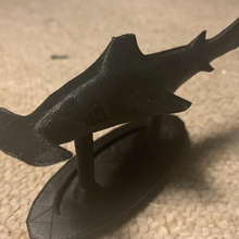 martillo tiburón mmf esculpir tiburones 3d print model - Mito3D