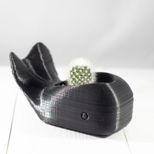 baleine planteur cactus jardinières succulentes 3d print model - Mito3D