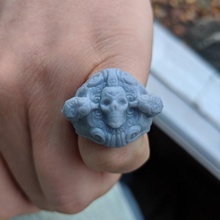 skullnsnakes ring ancient fantasy skull jewelry snake scifi giger ornate 3d print model - Mito3D