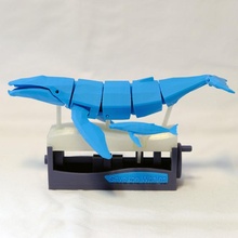 Salva balene cinetico giocattoli Giochi meccanico giocattolo balena in movimento 3dprint automi nuoto savethewhales salva kineticwhale 3dprintwhale 3dprintablewhale movingwhale 3d print model - Mito3D