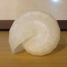 basit deniz kabuğu matematik openscad sarmal özelleştirici math art Nautilus 3d print model - Mito3D