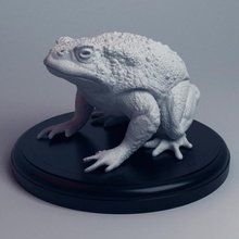 réaliste crapaud animal nature jeux guerre l'eau glace table grenouille givre amphibie 3d print model - Mito3D