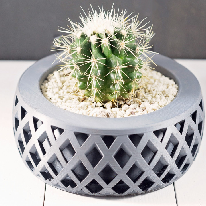 criss attraversare fioriera giardino cactus fioriere piante grasse succulenta succulent planter indoor 3D print model - Mito3D