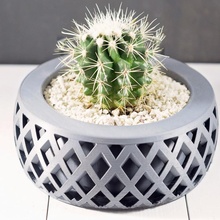 criss attraversare fioriera giardino cactus fioriere piante grasse succulenta succulent planter indoor 3d print model - Mito3D