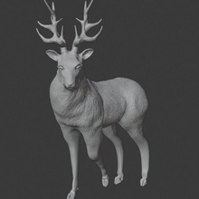 cervo 20 animali fantasia foresta re realistico miniatura tavolo Fata bambi corna hirsch forestali 3d print model - Mito3D