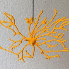 astrocyte ornament christmas brain cell star glia 3d print model - Mito3D