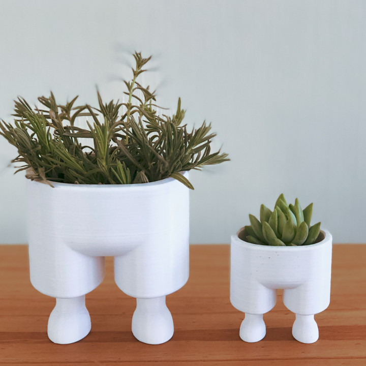 longues jambes planteur 3d imprimé mignonne décor 3D print model - Mito3D