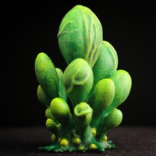 tavolo pianta blob folla alieno vegetazione 15 40k decorazione fantasia regalo terreno miniatura Dungeons and Dragons impianti miscelatore fungo d 28mm giochi gioco guerra 3d print model - Mito3D