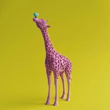 giraffa amore giocattoli Giochi animale cuore scultura zoo San Valentino 3d print model - Mito3D