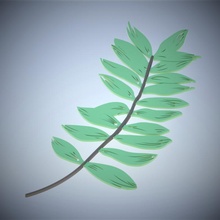 pinnate leaf & garden nature tree branch sheet bipinnate 3d print model - Mito3D
