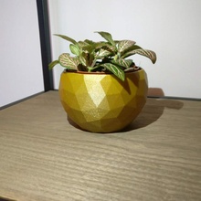 geoplanter fiore geometrico pianta pentola fioriera 3d print model - Mito3D