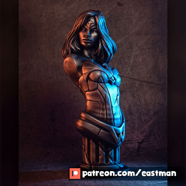 femme buste combattant fille héros guerrier super dc bandes dessinées 3 3D print model - Mito3D