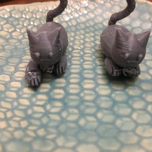 cat competition entry 3d print model - Mito3D