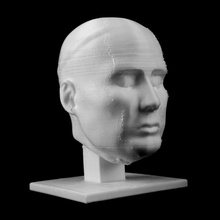 cabeça clérigo conheceu york scan 3d print model - Mito3D