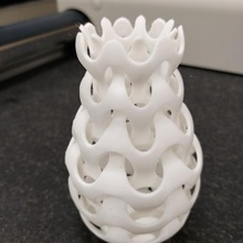 2in1 Vase 2 1 2in1vase gegenseitig Struktur 3d print model - Mito3D
