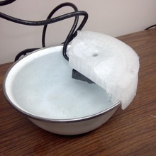 ajustável gato fonte animal água bomba 3d print model - Mito3D