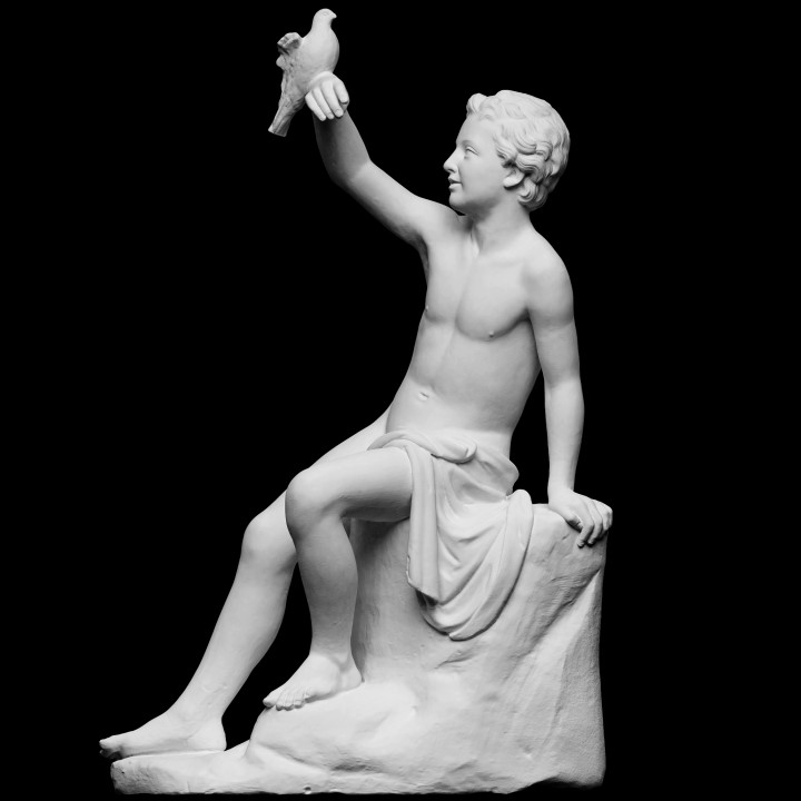 chico paloma escanear pájaro escultura masculino desnudo yeso corcho neoclásico desconocido 3D print model - Mito3D