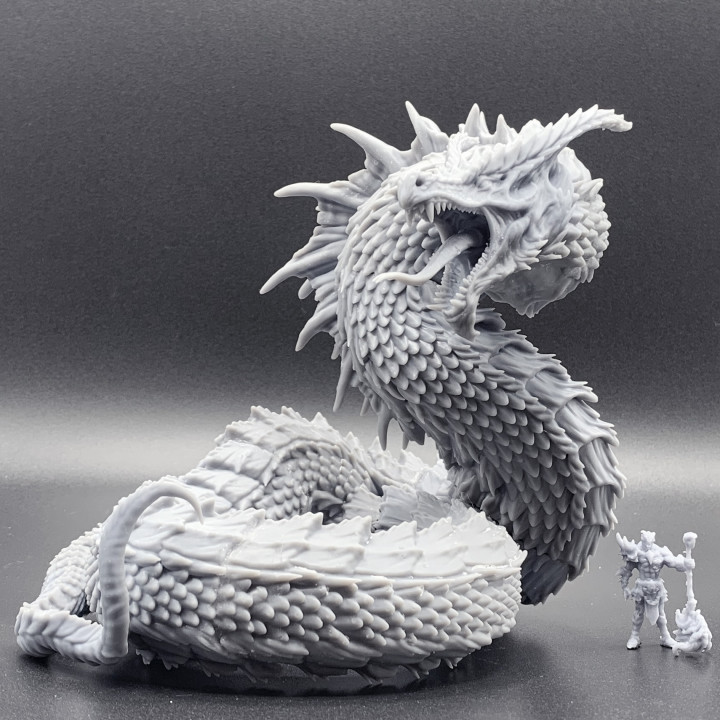wyrm store creature dragon dungeons fantasy monster scales 3D print model - Mito3D