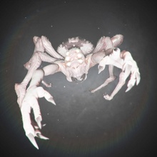 choldrith dnd monstre 2 pose imprimable extraterrestre créature dragons donjons mini miniature araignée ennemi Dragons table rencontre éclaireur PNJ 3d print model - Mito3D