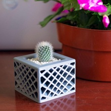 Estrela espectro plantador cacto suculentos suculento cactos succulent planter indoor cactus 3d print model - Mito3D