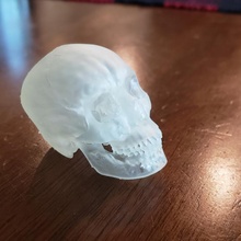 ct cráneo escanear escaneado 3d print model - Mito3D