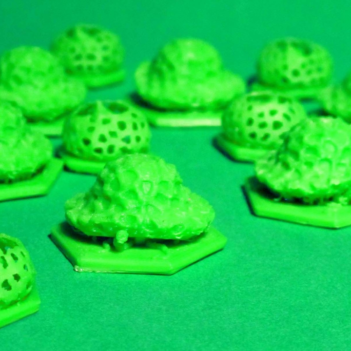 fungus token tabletop zheng3 3D print model - Mito3D