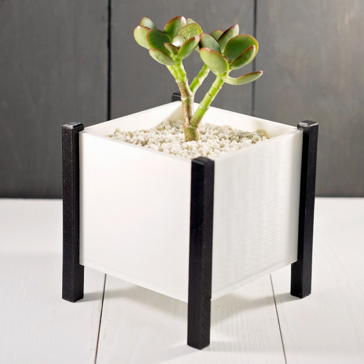moderne carré planteur boîte cactus jardinières succulentes succulent planter plante indoor 3D print model - Mito3D