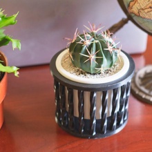 spirale fioriera cactus fioriere piante grasse succulenta succulent planter indoor 3d print model - Mito3D