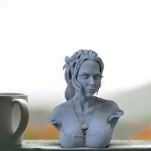 flor menina loja fdm fêmea Marte dlp beleza busto feminino ender3 garota linda 3d print model - Mito3D
