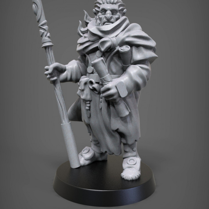 Hobgoblin bruxo tampo mesa dragões masmorras miniatura esculpir masmorra 32mm 3D print model - Mito3D