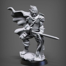 drow fighter tabletop 3d print model - Mito3D