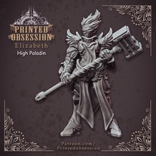 elizabeth - high paladin heaven hath fury 32mm scale dnd pre-supported tabletop dragons elf female hell human kickstarter printed dungeon obsession 3d print model - Mito3D