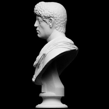 portrait panther skin shoulder scan bust female roman male plaster copy unknown artec openglam artec-eva smk-open 3d print model - Mito3D